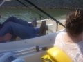 032-101_2788.jpg.small.jpeg