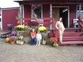 010-100_1615.jpg.small.jpeg