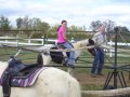 025-100_1630.jpg.small.jpeg