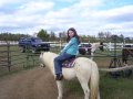026-100_1631.jpg.small.jpeg