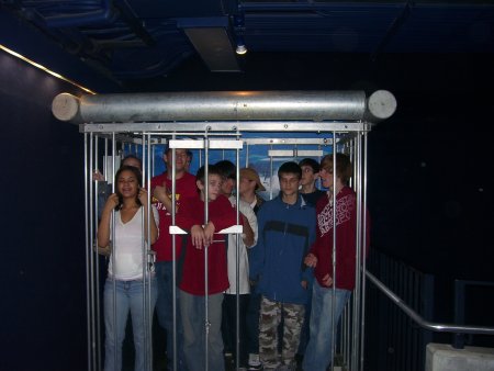 019-100_3261.jpg.medium.jpeg