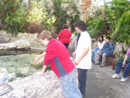 031-100_3273.jpg.medium.jpeg