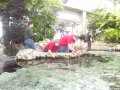 033-100_3275.jpg.small.jpeg