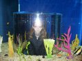 081-100_1825.JPG.small.jpeg