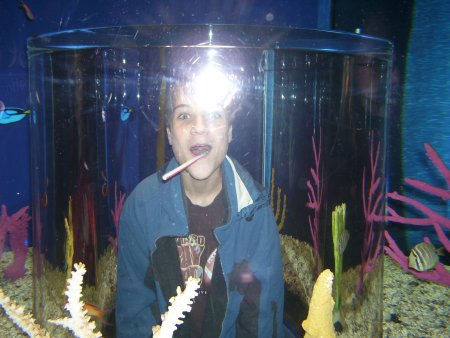 085-100_1829.JPG.medium.jpeg