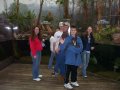 088-100_1832.JPG.small.jpeg