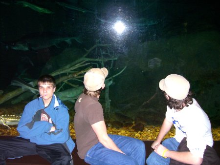 095-100_1839.JPG.medium.jpeg