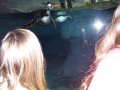 107-100_1851.JPG.small.jpeg