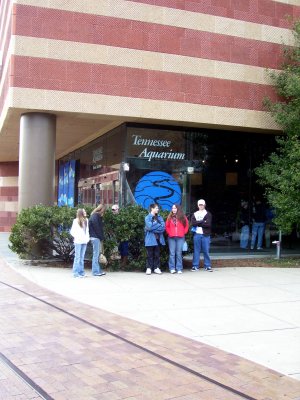 117-100_1861.JPG.medium.jpeg