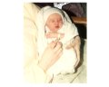 img010.jpeg.small.jpeg